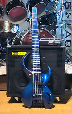 AccuGroove Tri 210L cabinet with BassLab STD-V bass and Acoustic Image Focus 2R amp