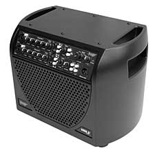 Acoustic Image Series III Coda R combo